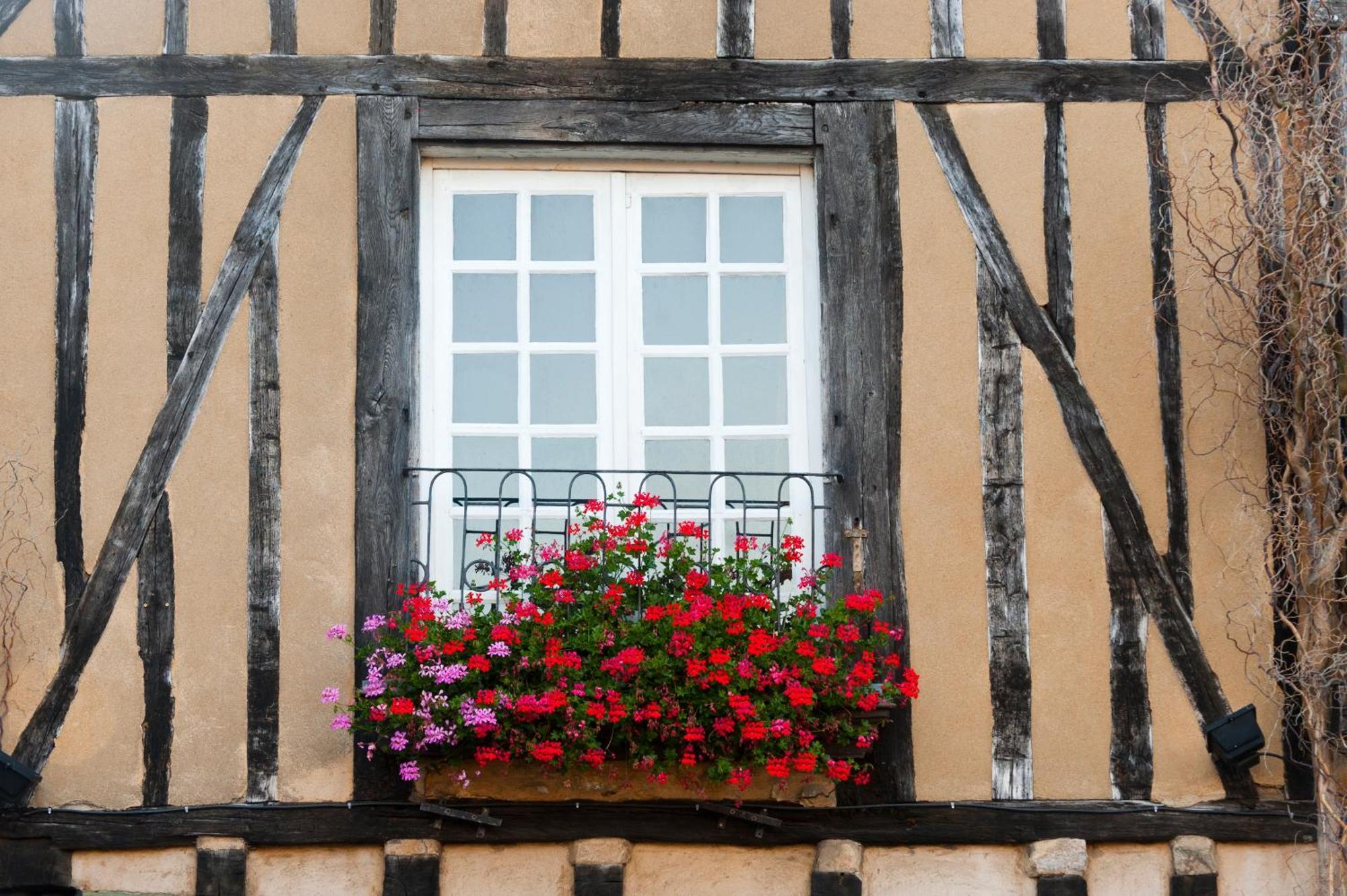 Chambres D'Hote - Maison Des Ecrivains - 50 M De La Cathedrale Et Place Des Jacobins 勒芒 外观 照片